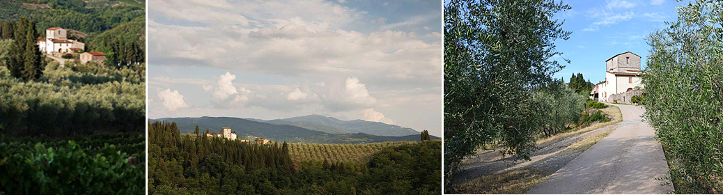 renzo m vs fattoria di basciano